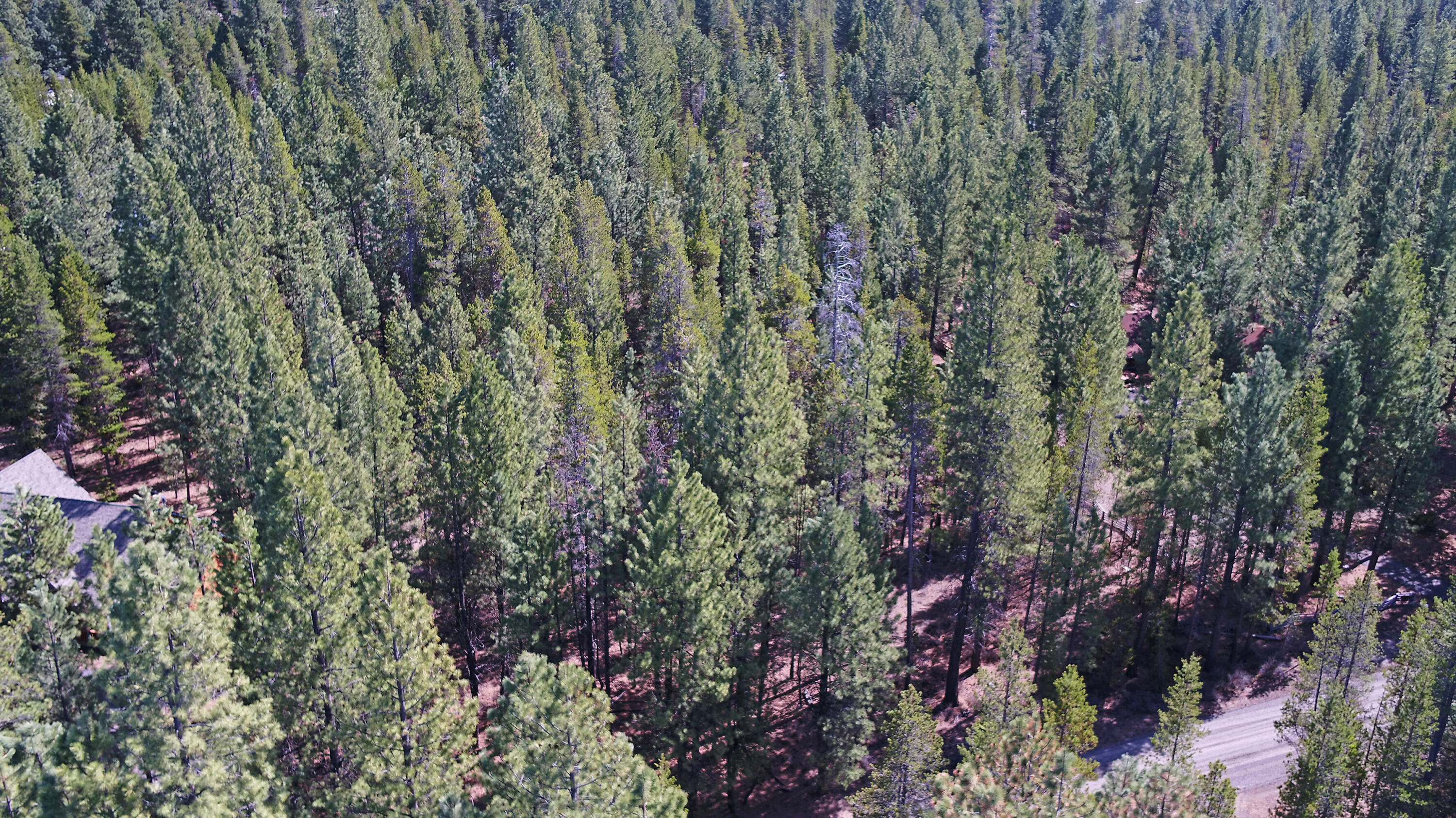 Spring River Acres - Land