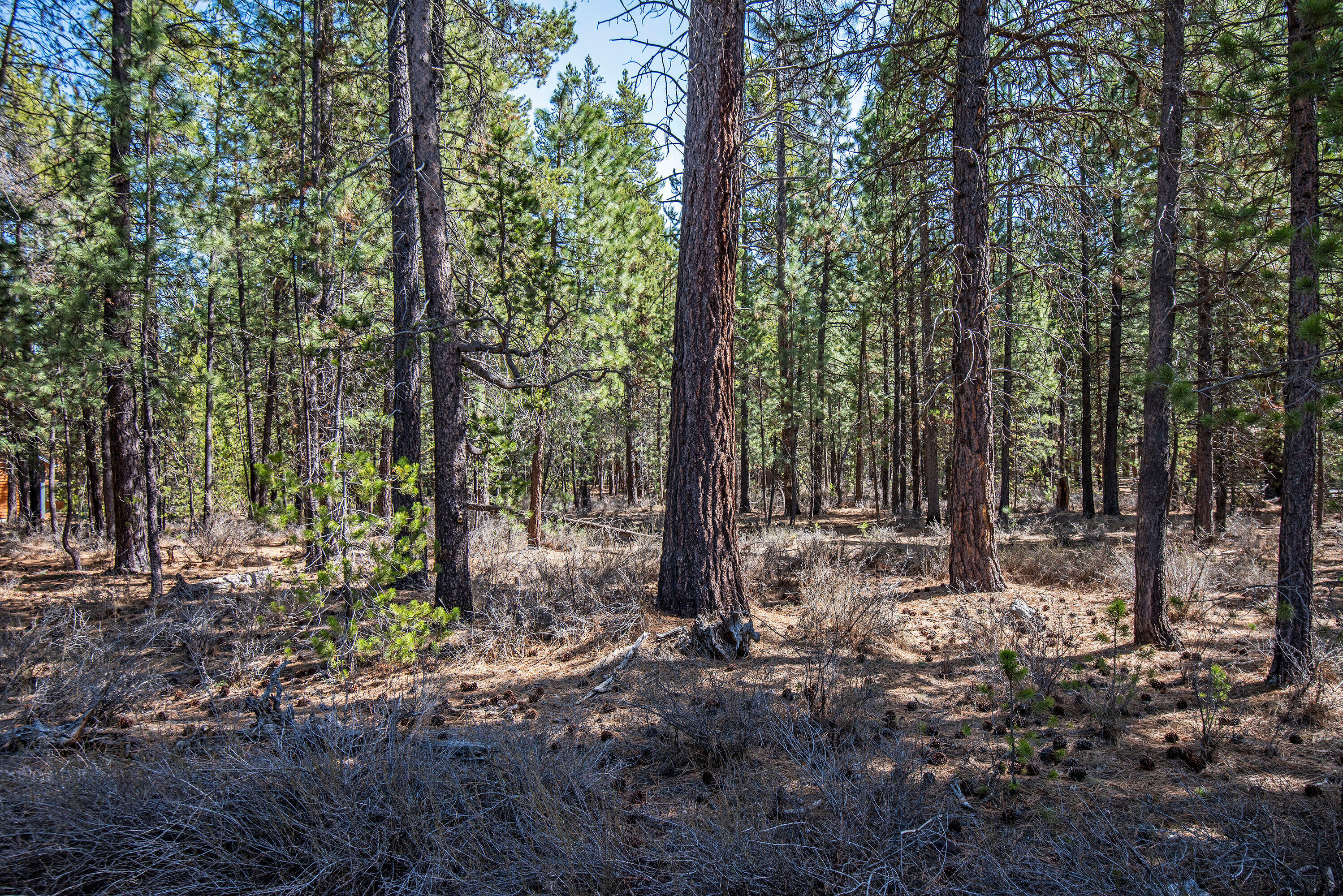 Spring River Acres - Land