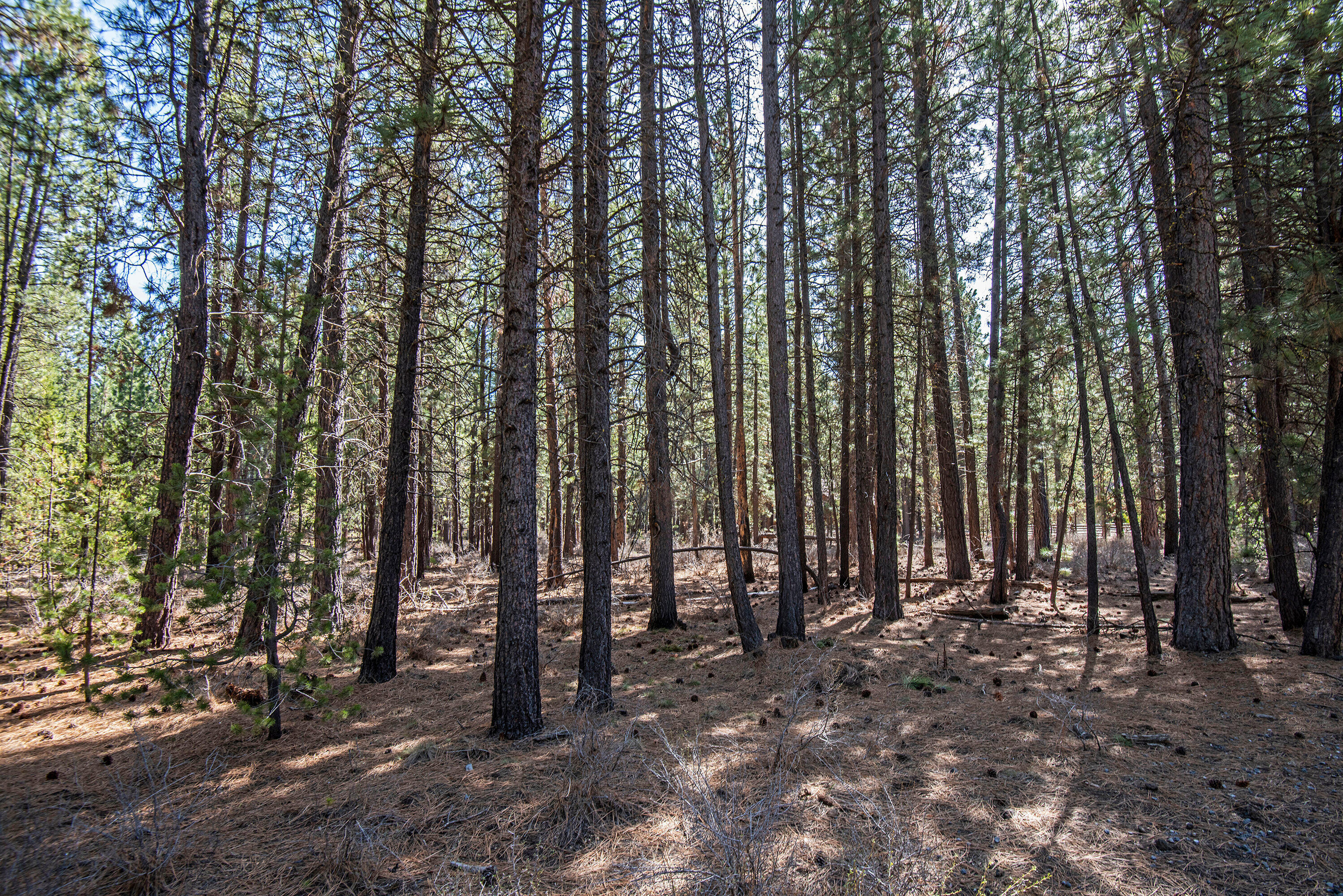 Spring River Acres - Land