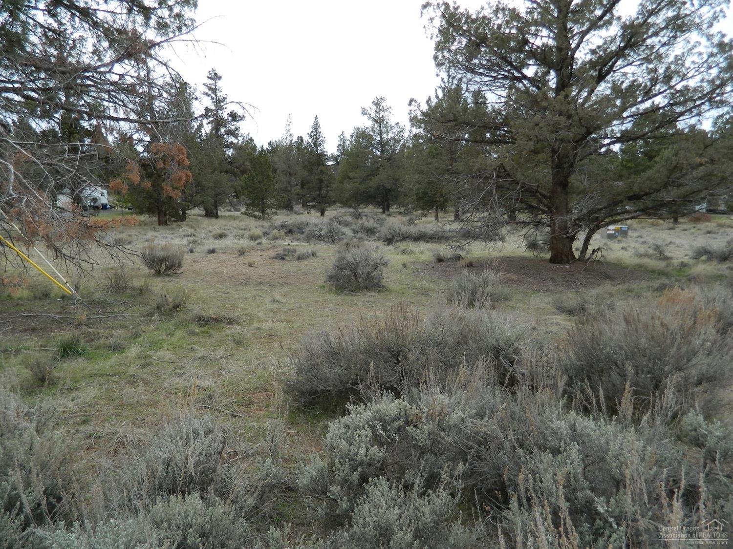 Whispering Pines - Land