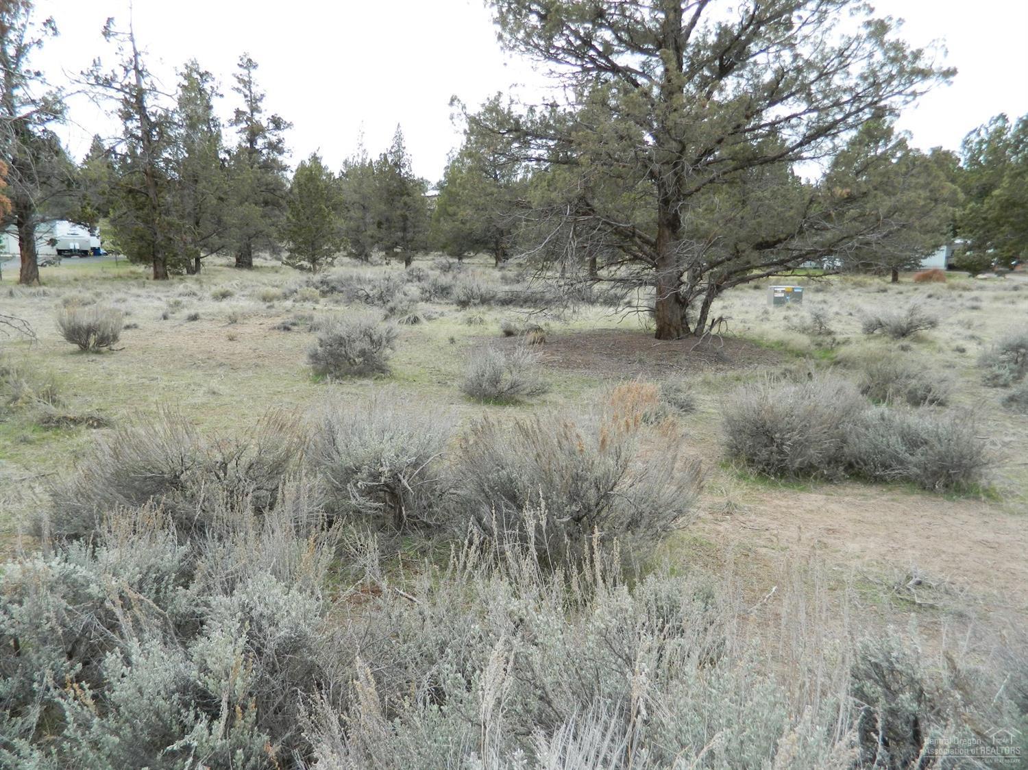 Whispering Pines - Land