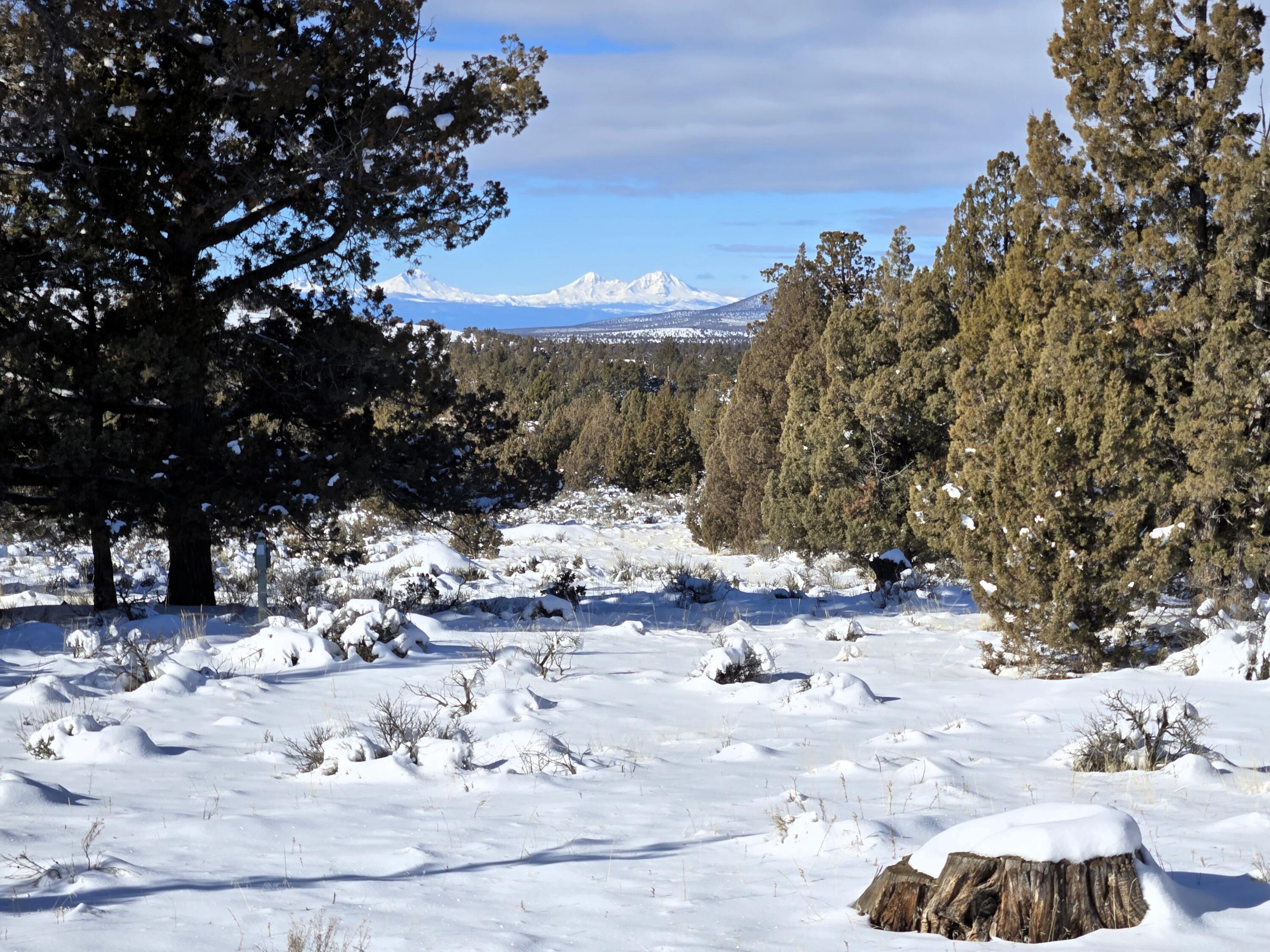 Prineville Lake Acres 2 - Land