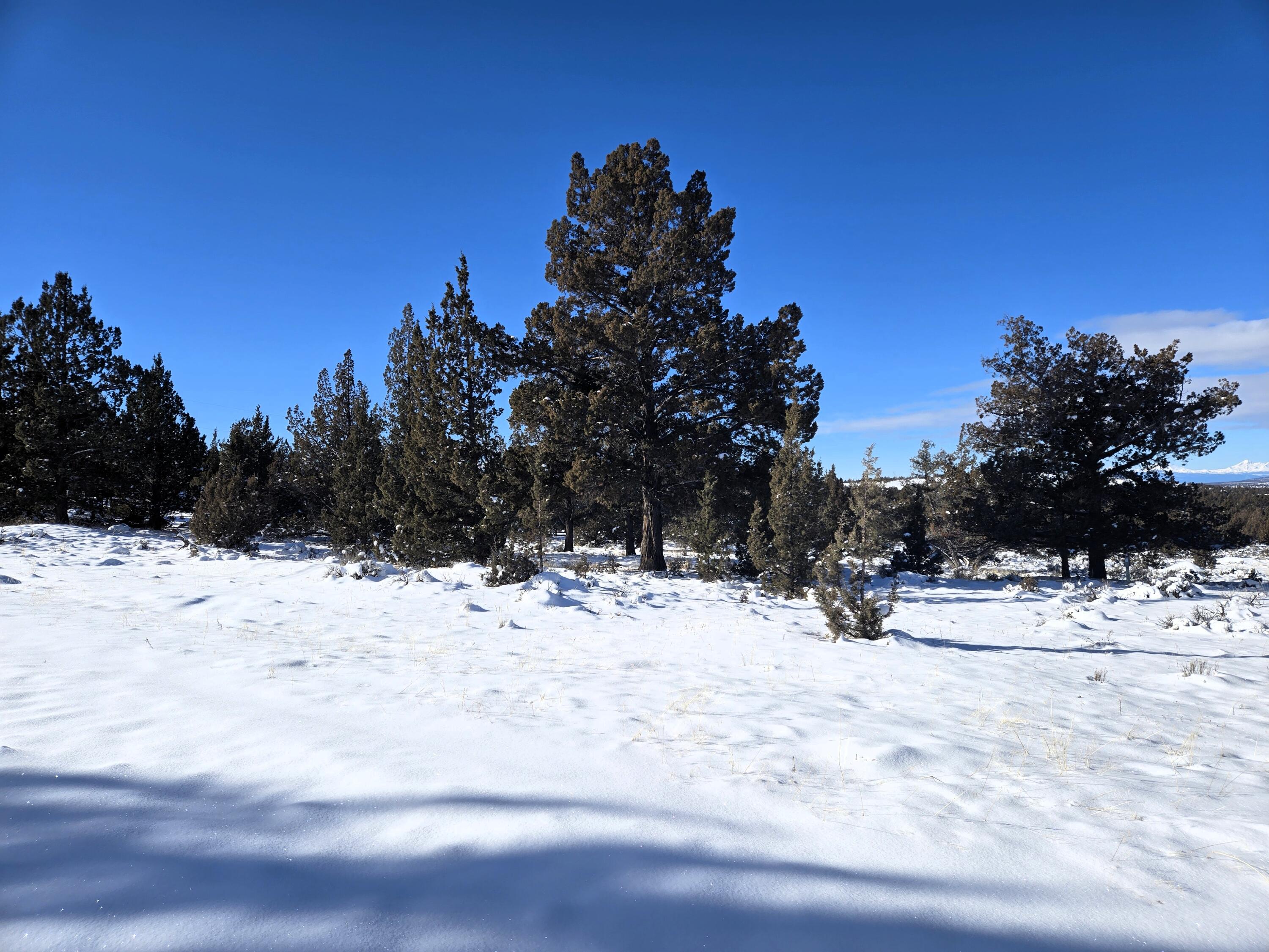 Prineville Lake Acres 2 - Land