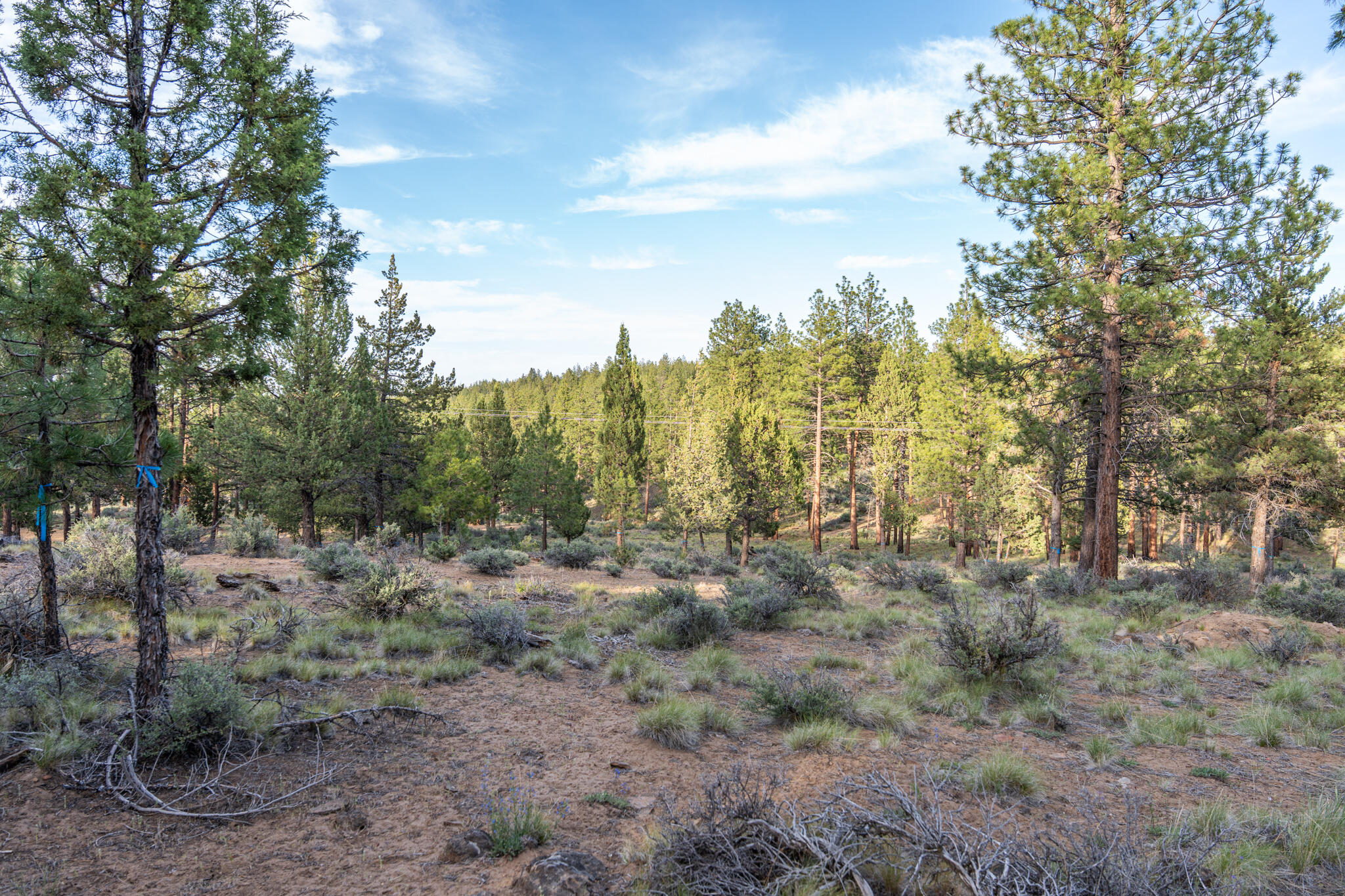 Skyline Ranch - Land