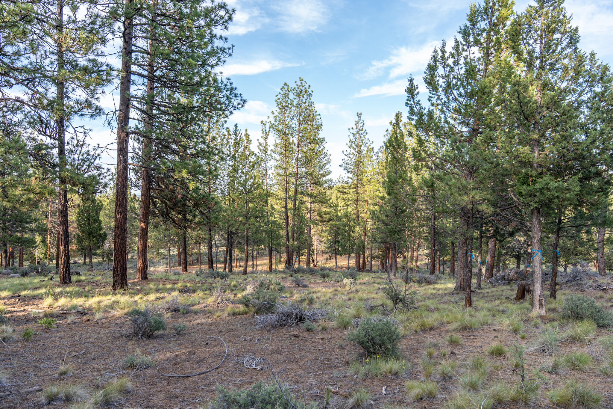 Skyline Ranch - Land