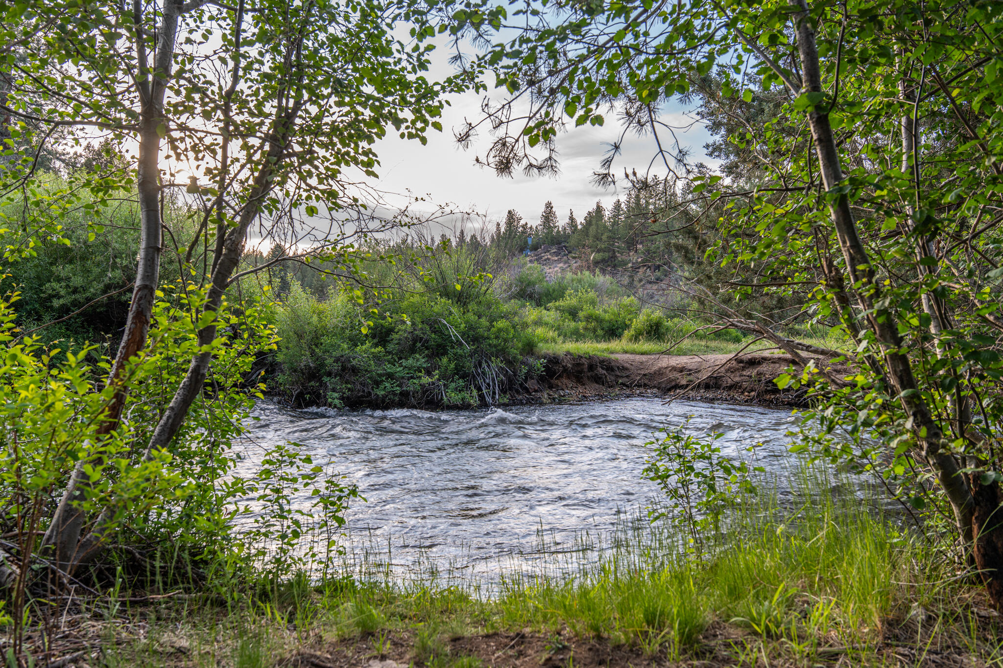 Skyline Ranch - Land