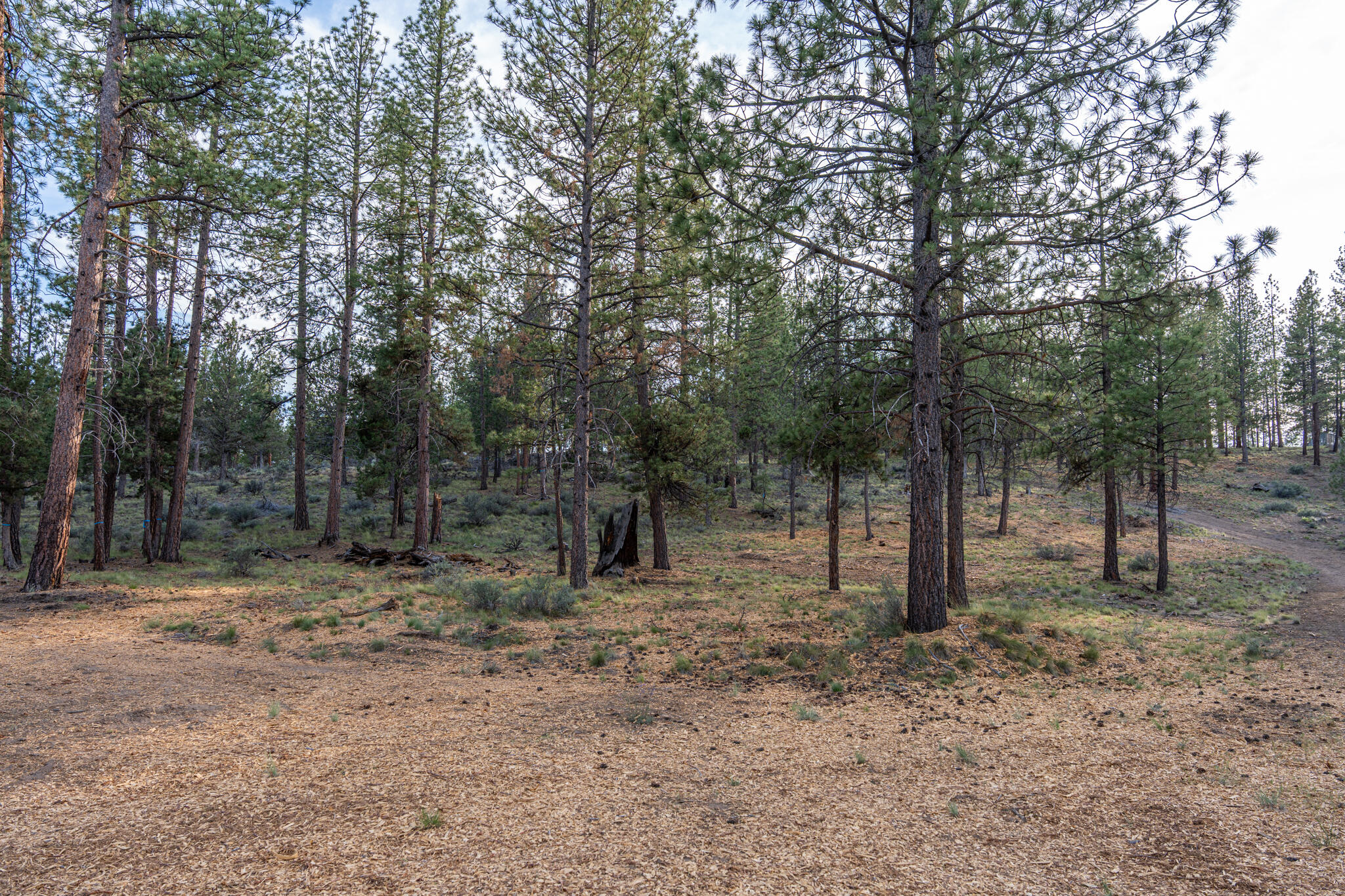 Skyline Ranch - Land