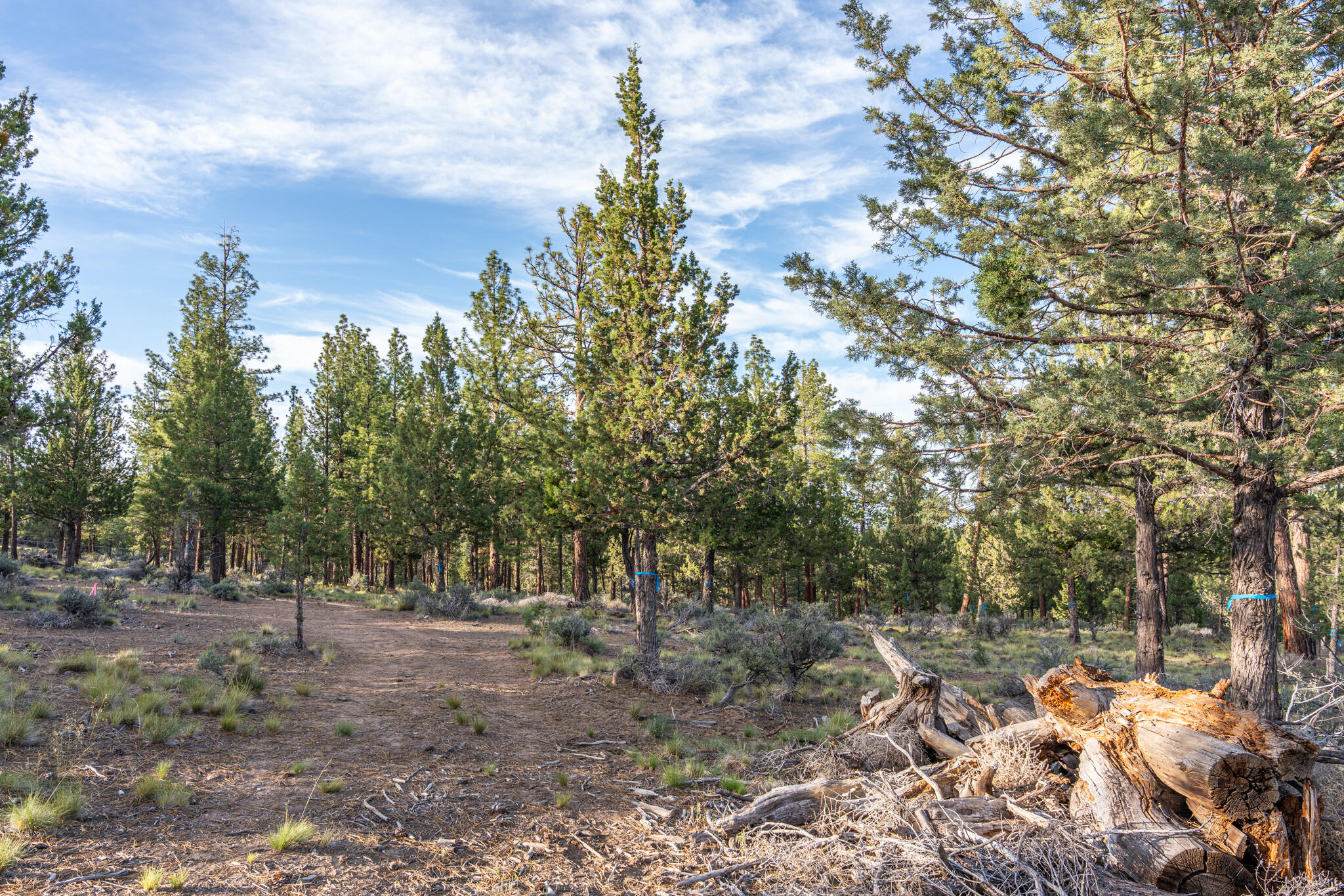 Skyline Ranch - Land