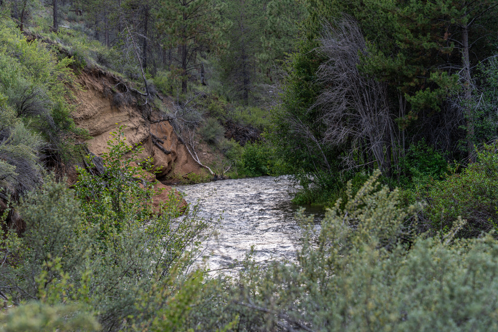 Skyline Ranch - Land