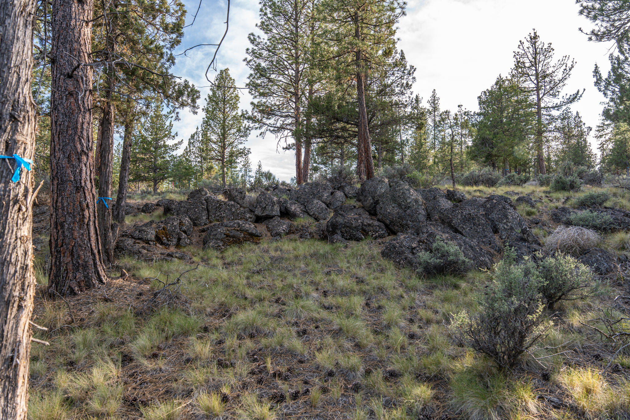 Skyline Ranch - Land