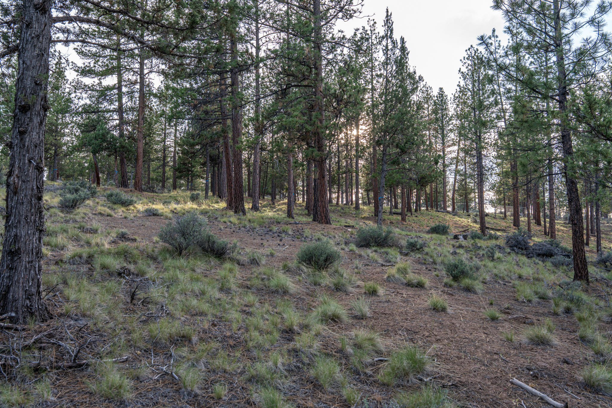 Skyline Ranch - Land