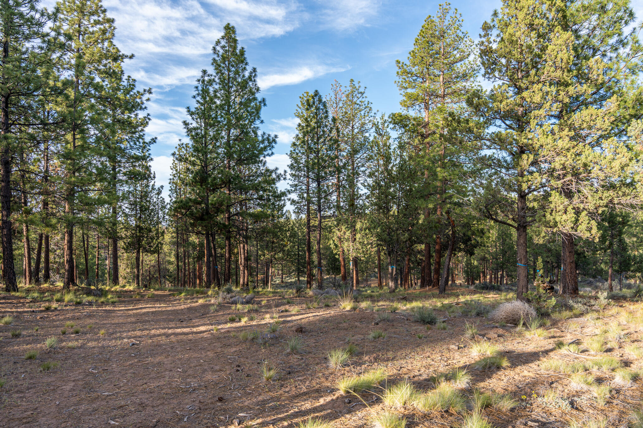 Skyline Ranch - Land