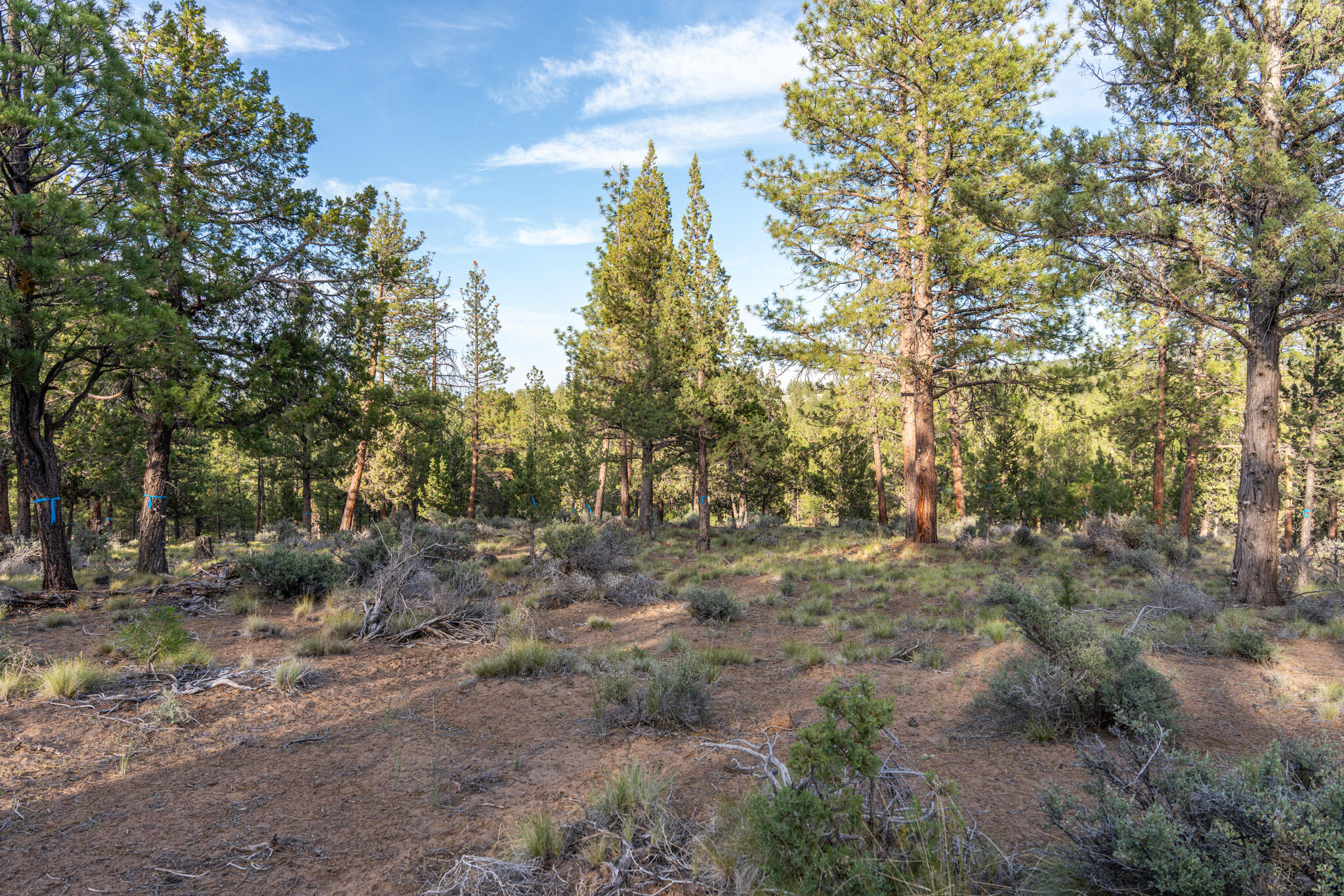 Skyline Ranch - Land