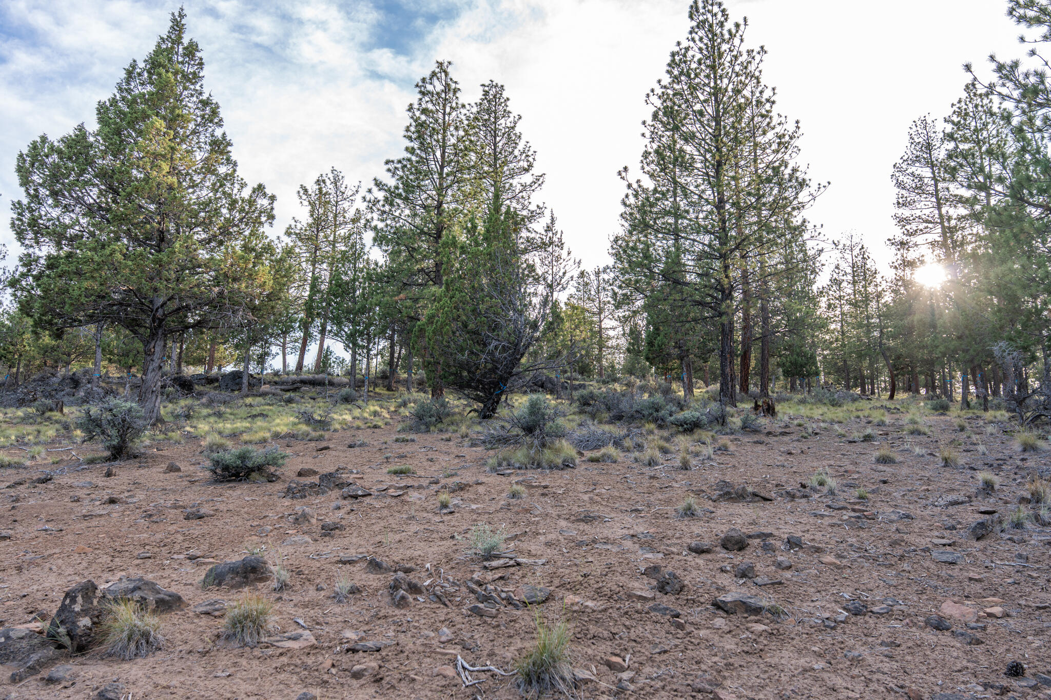 Skyline Ranch - Land