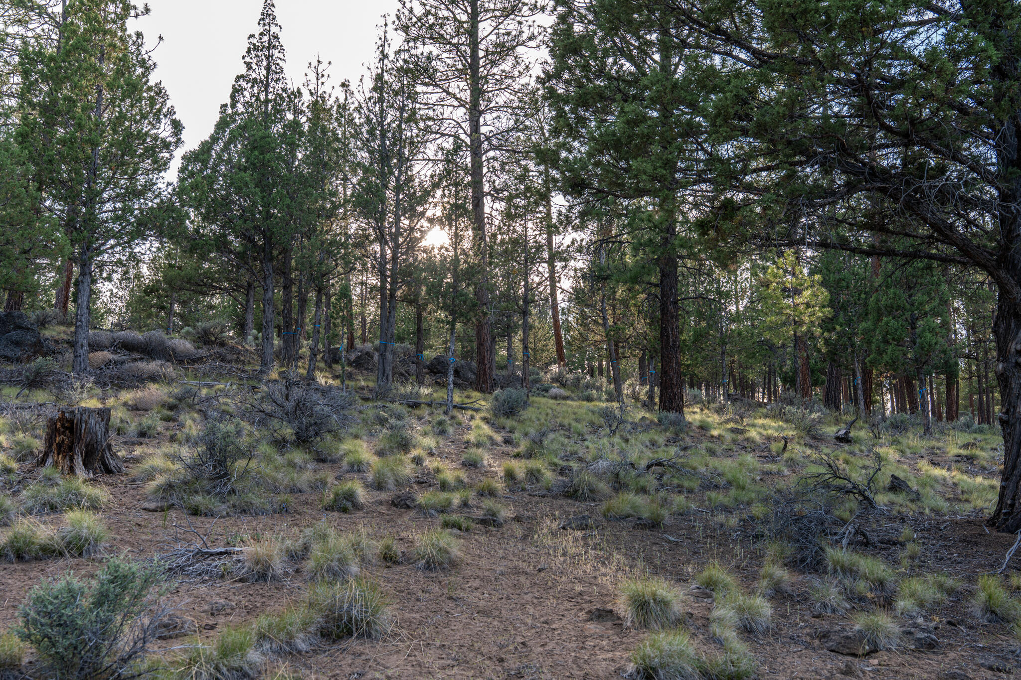 Skyline Ranch - Land