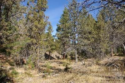 Ochoco Land + Livest - Land