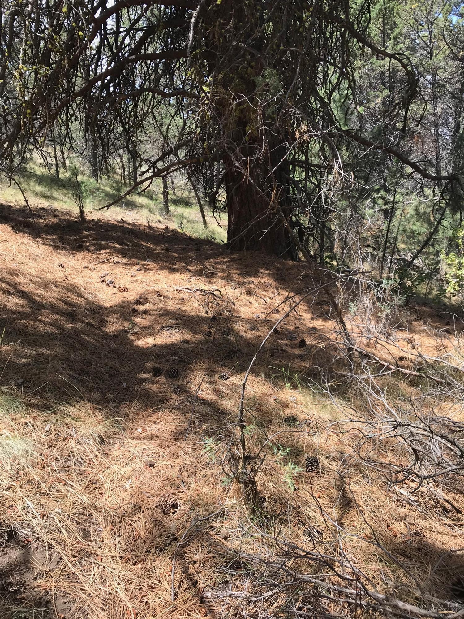 Ochoco Land + Livest - Land