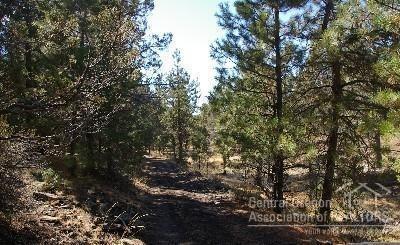 Ochoco Land + Livest - Land