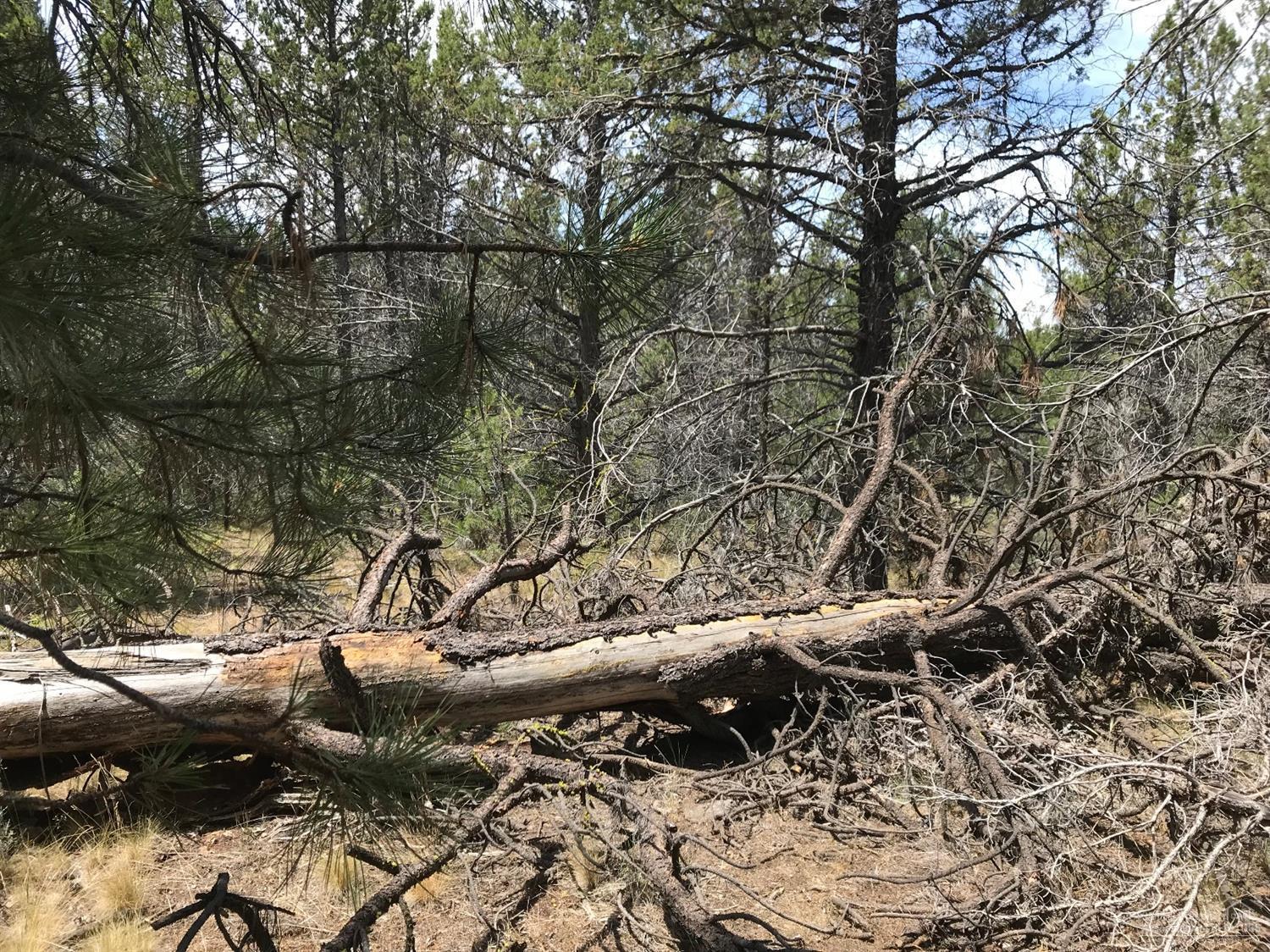 Ochoco Land + Livest - Land