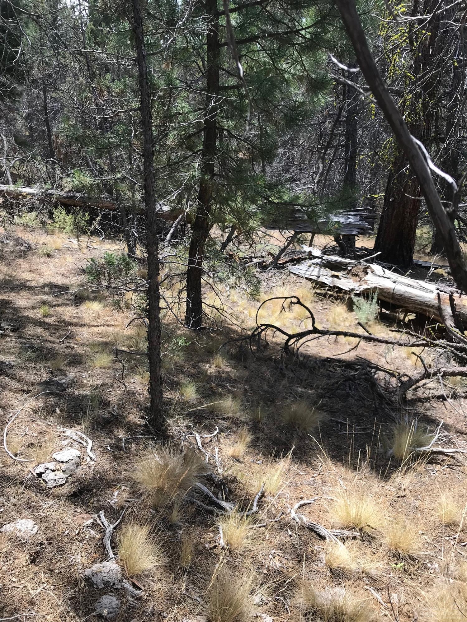 Ochoco Land + Livest - Land