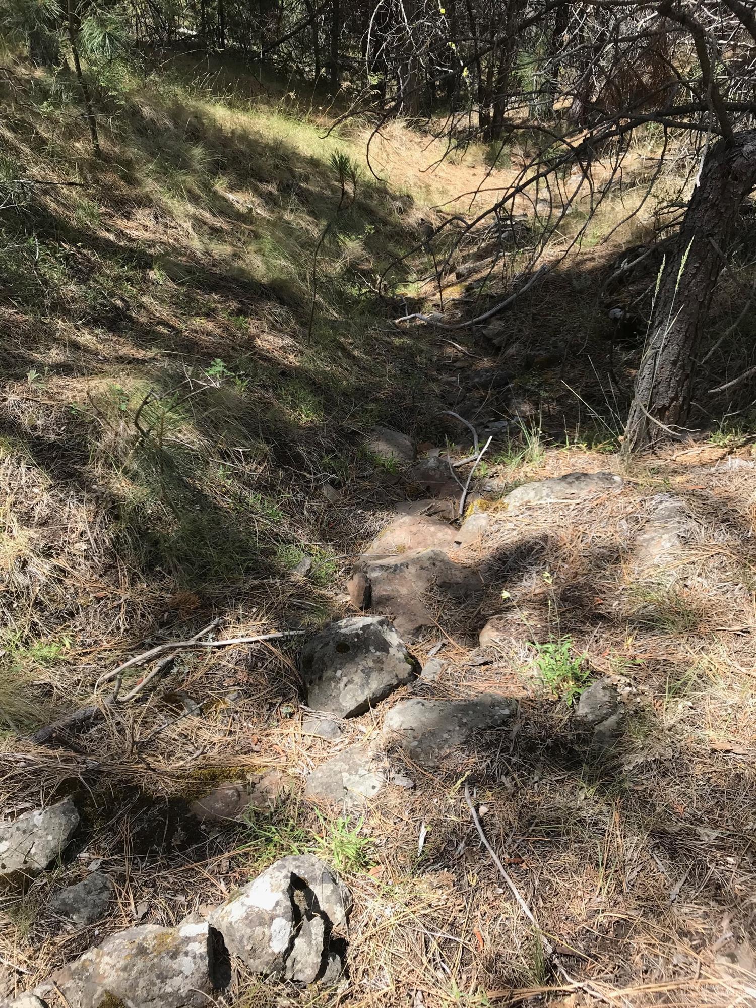 Ochoco Land + Livest - Land