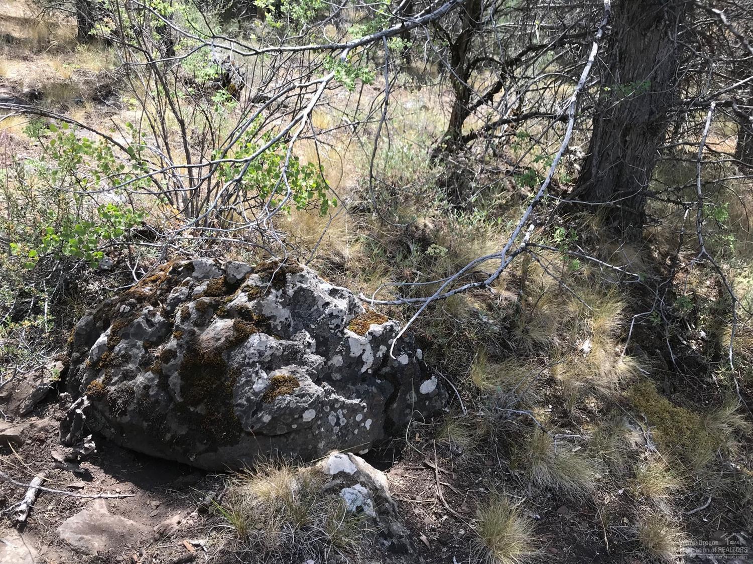 Ochoco Land + Livest - Land