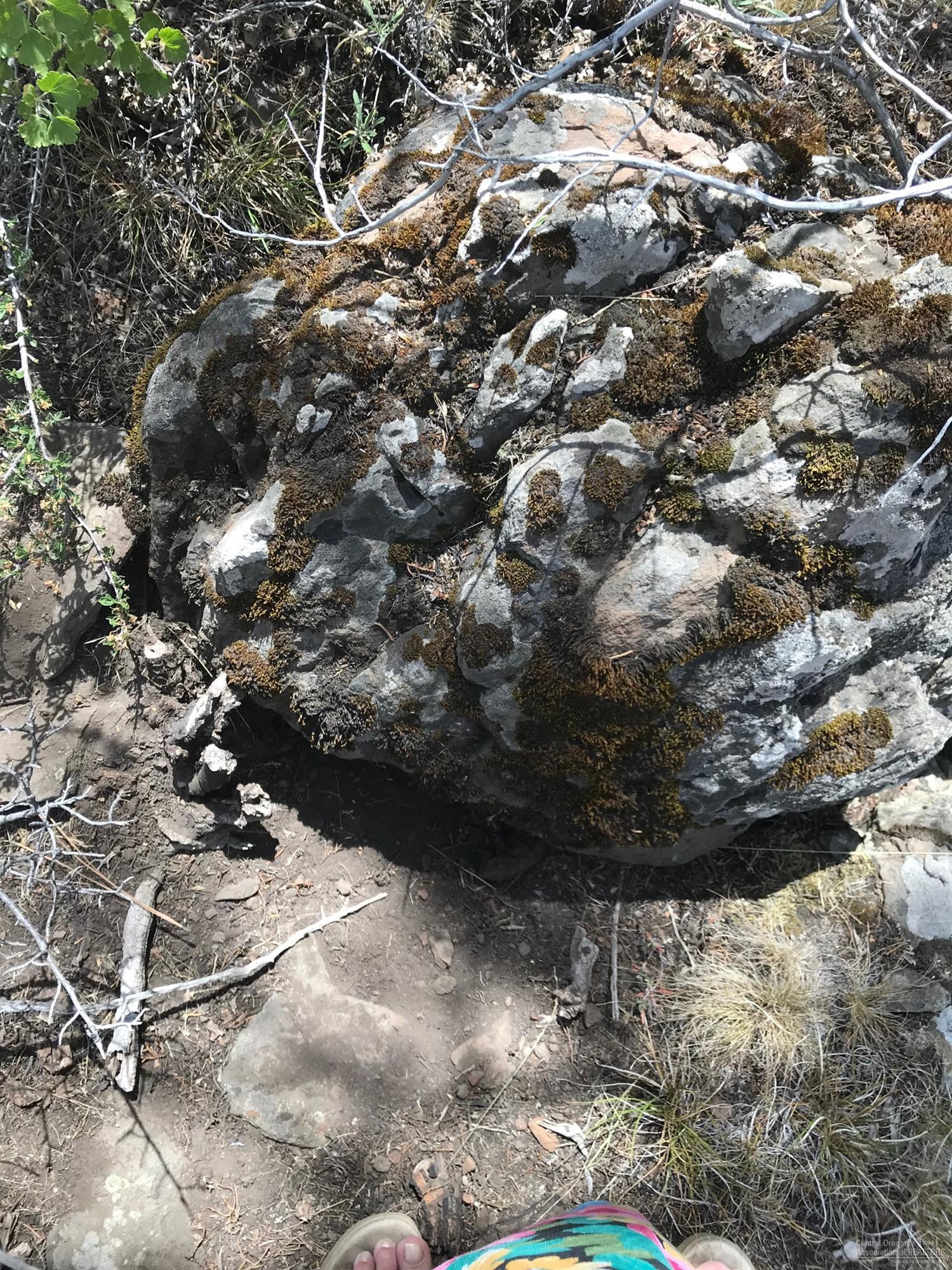 Ochoco Land + Livest - Land