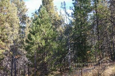 Ochoco Land + Livest - Land