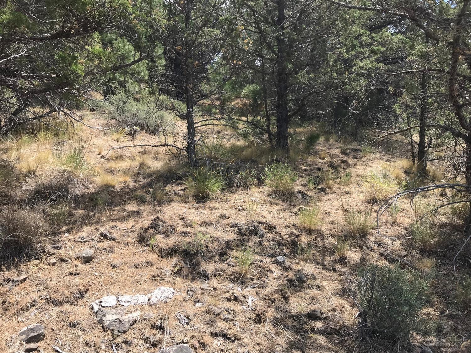 Ochoco Land + Livest - Land