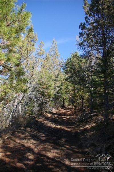 Ochoco Land + Livest - Land