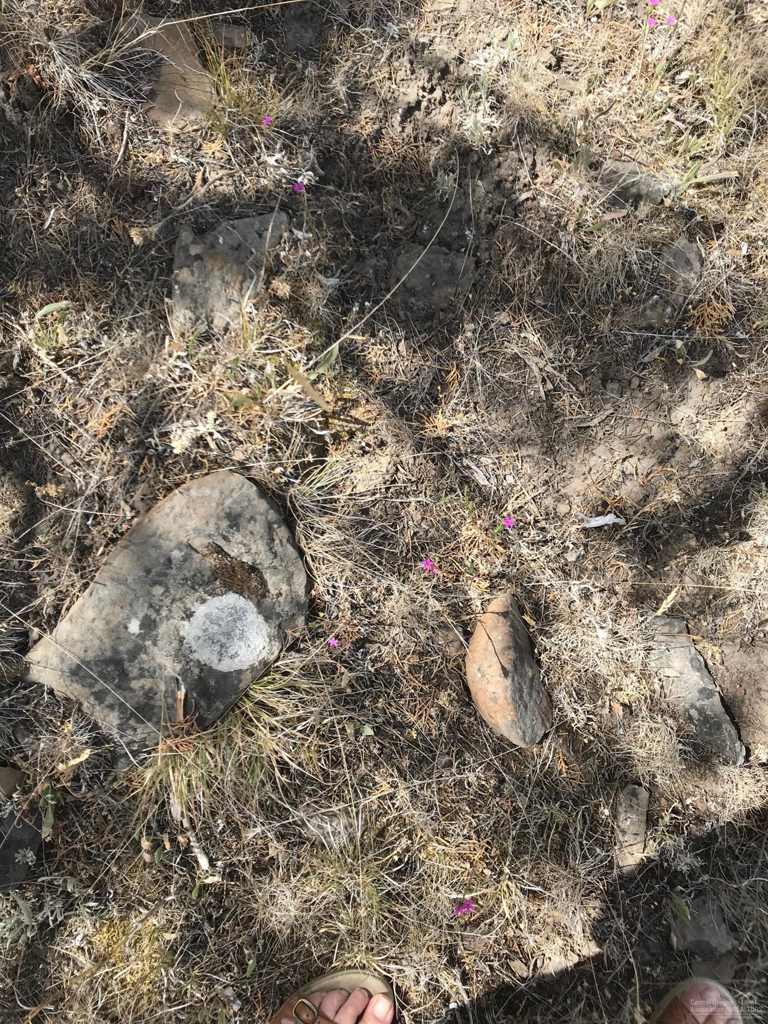 Ochoco Land + Livest - Land