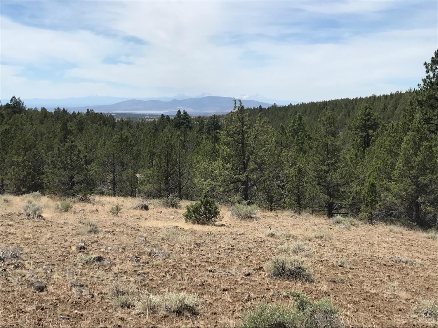 Ochoco Land + Livest - Land