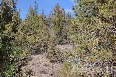 Ochoco Land + Livest - Land