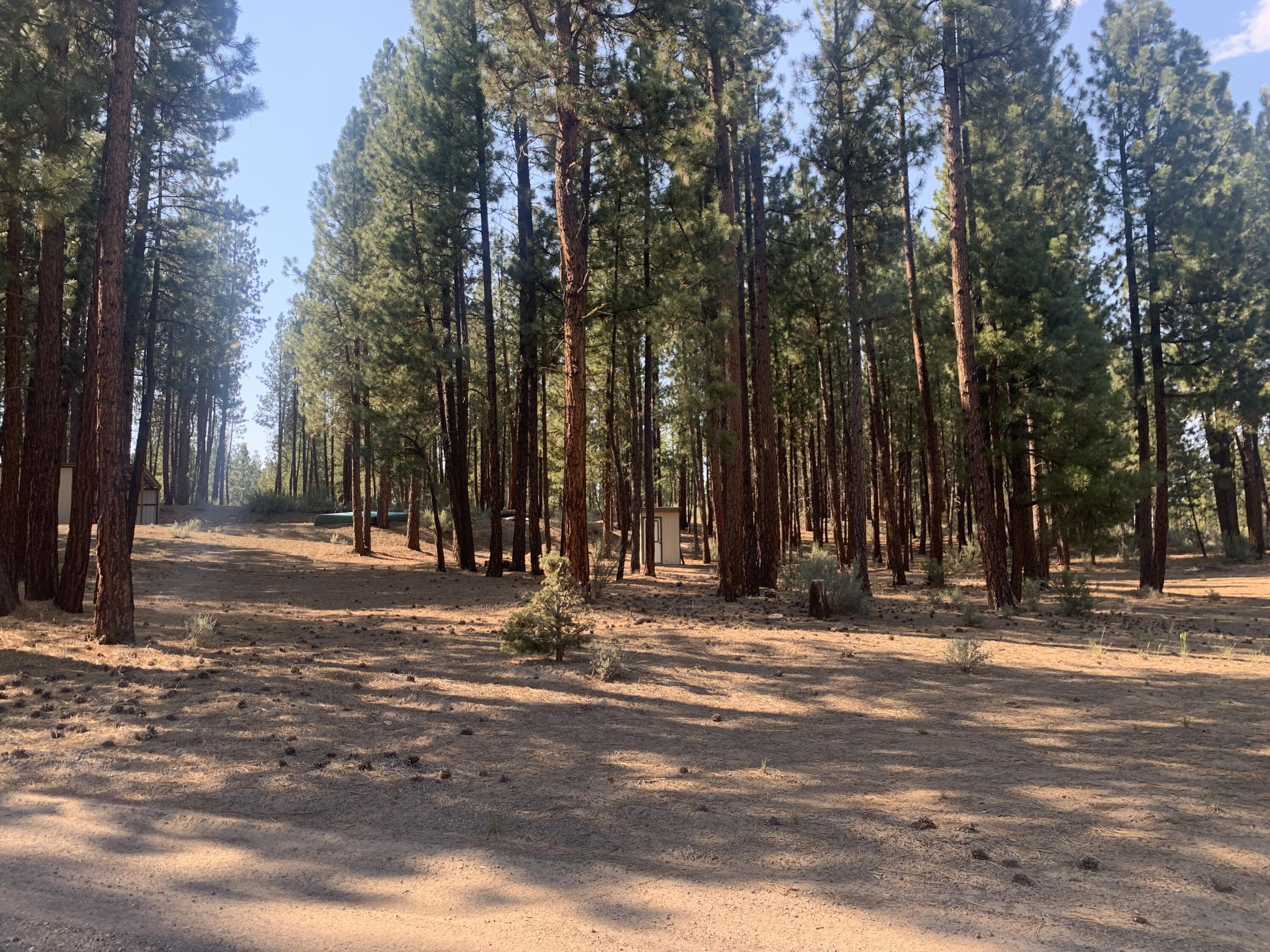 Sprague River Pines - Residential