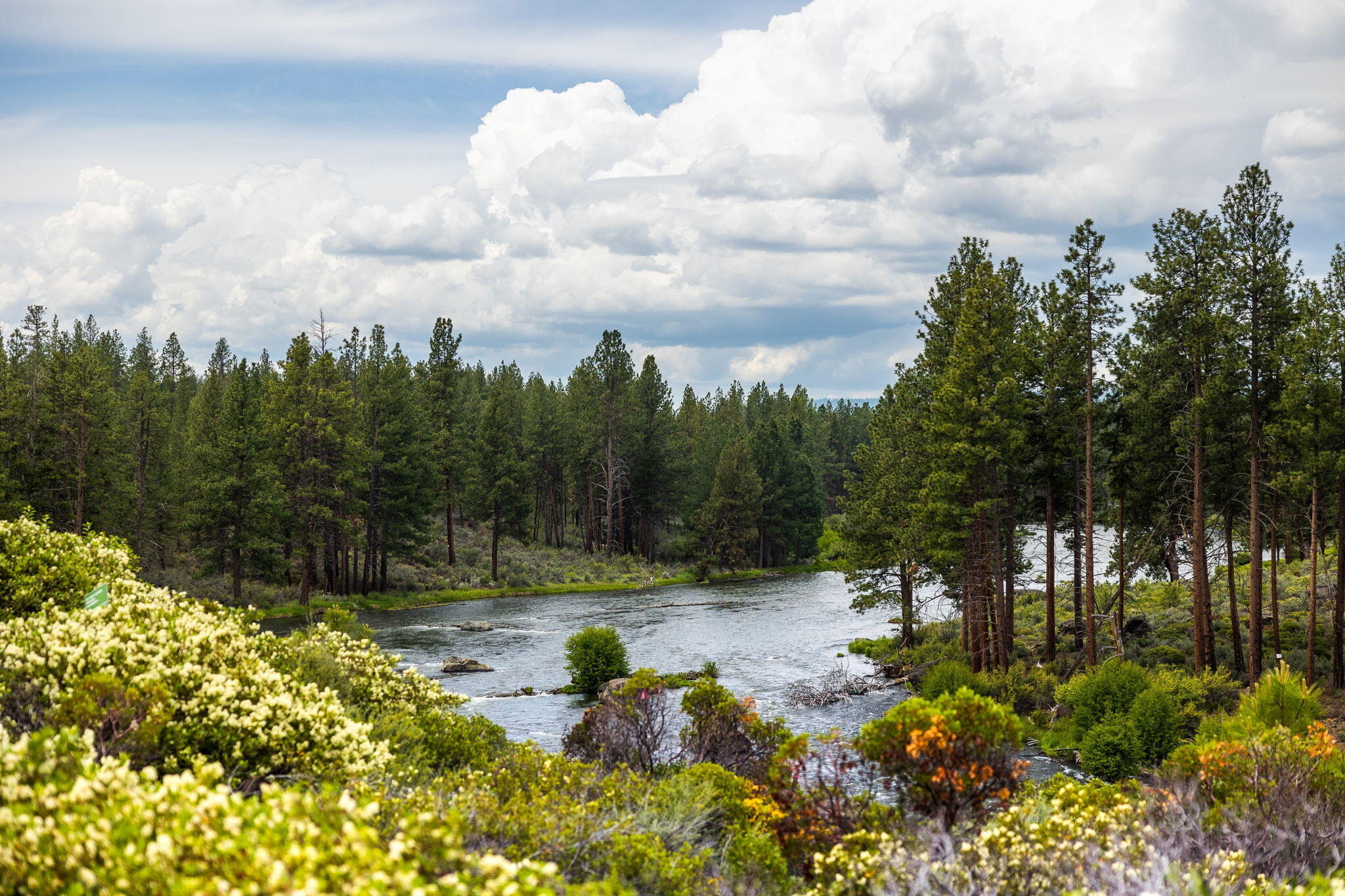 River Vale - Residential