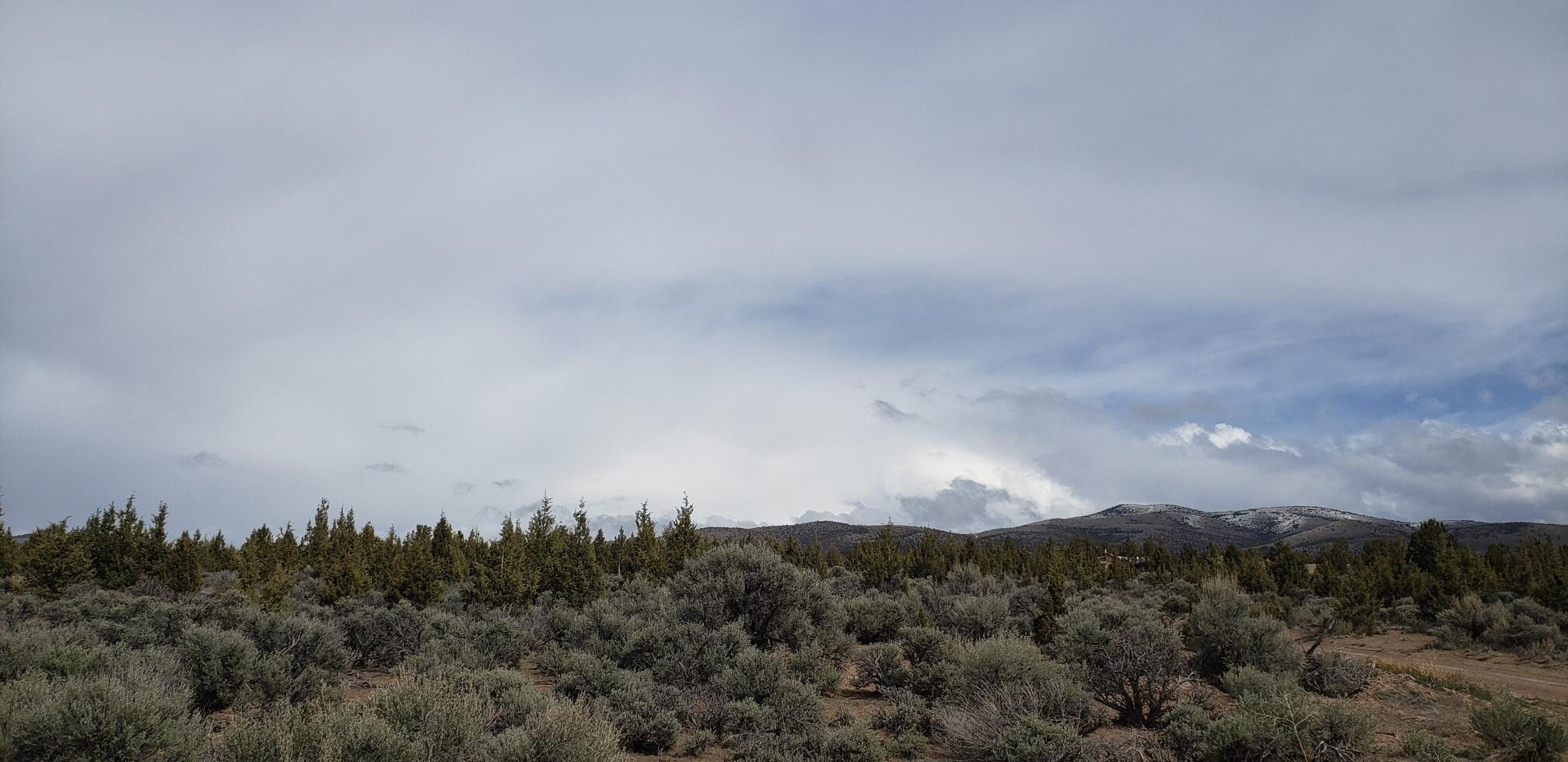 Juniper Acres - Land