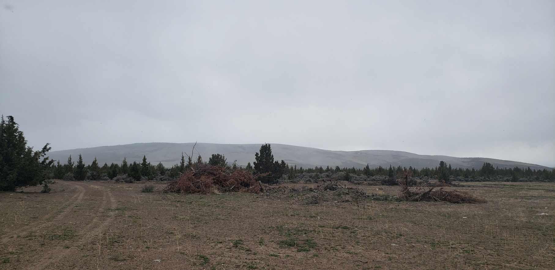Juniper Acres - Land