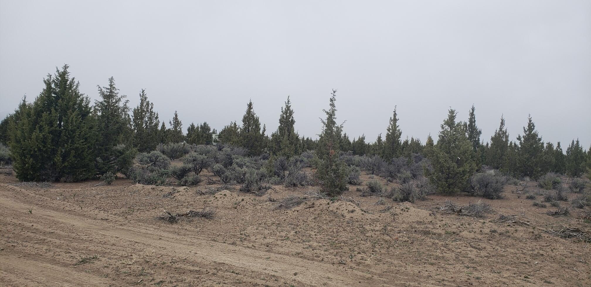 Juniper Acres - Land