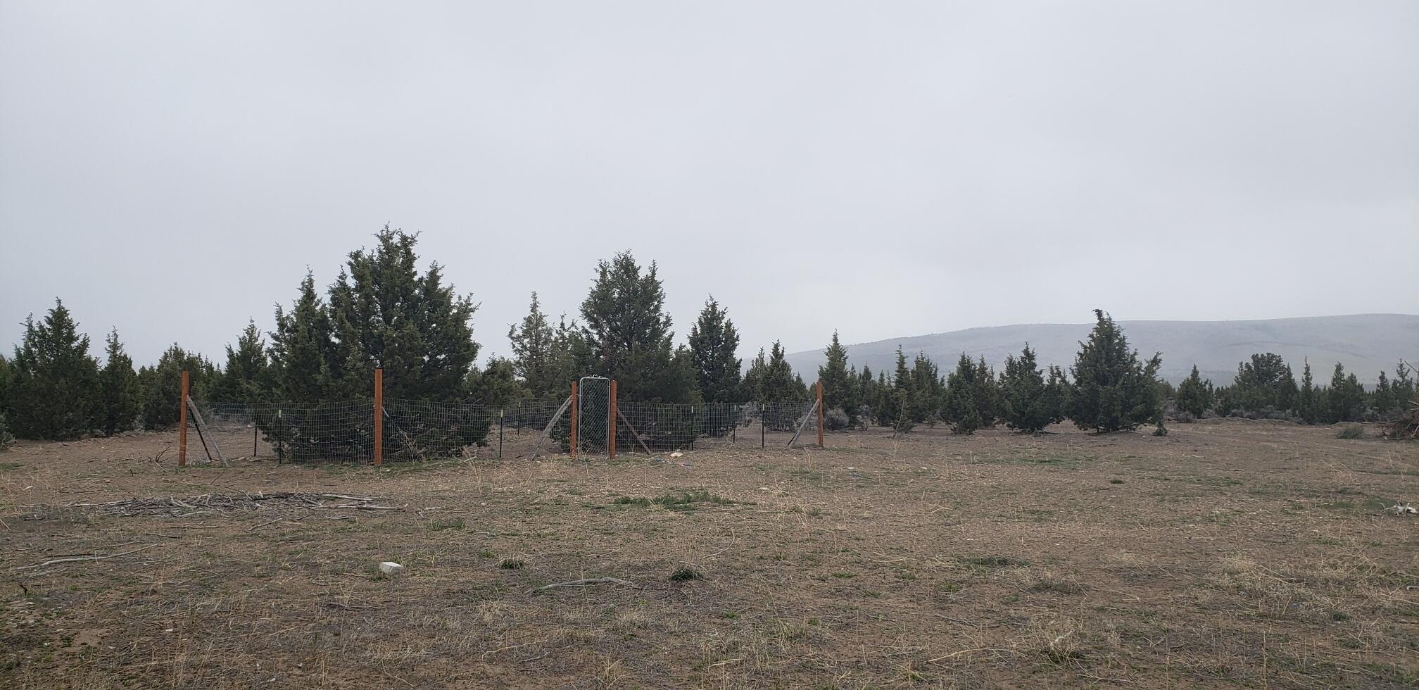 Juniper Acres - Land