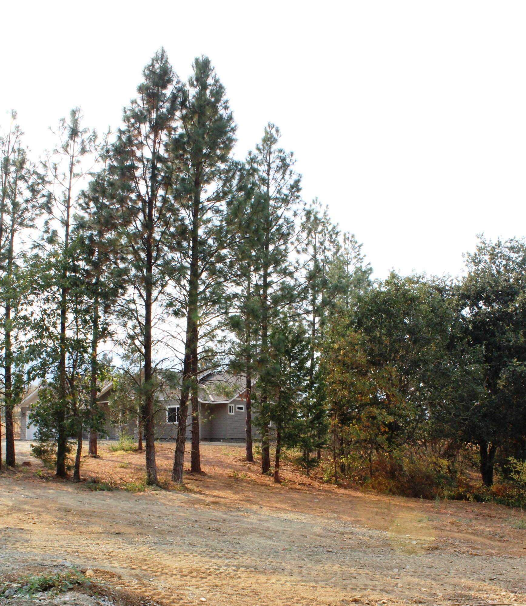 Madrona Tracts - Residential