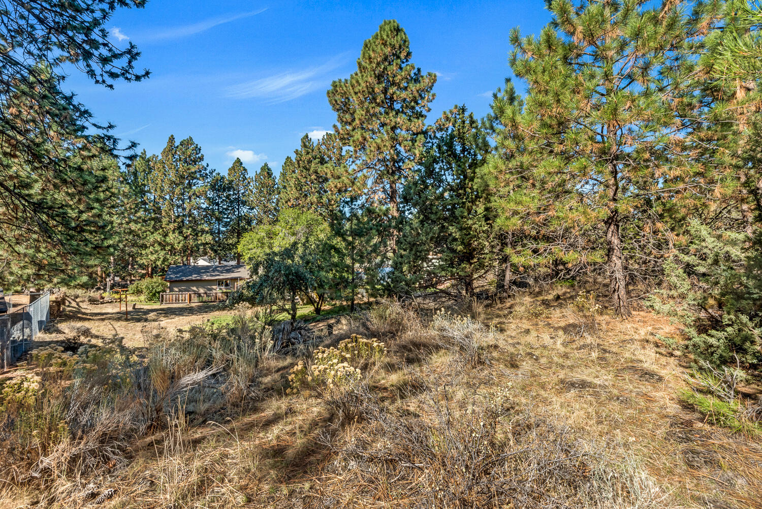 Homestead - Residential