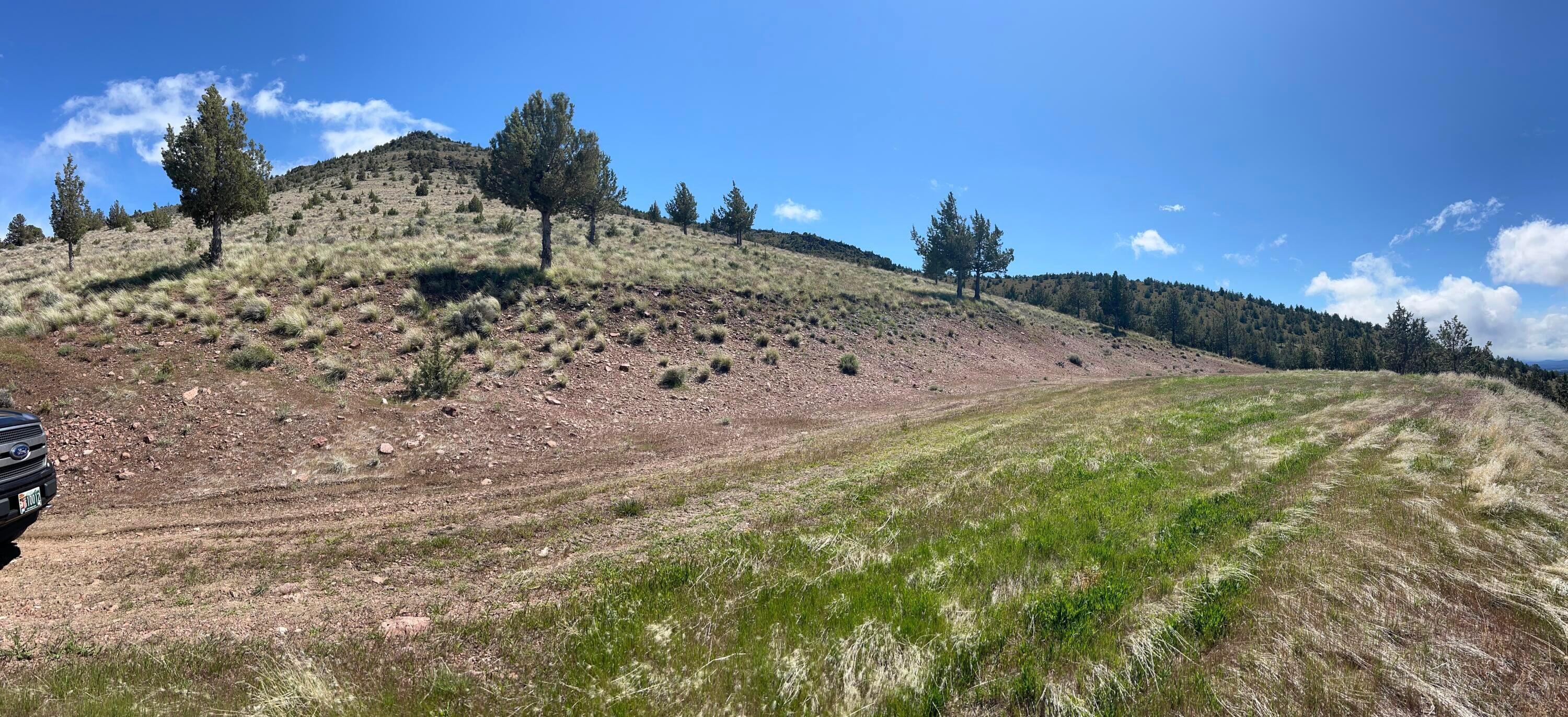 Juniper Butte - Land