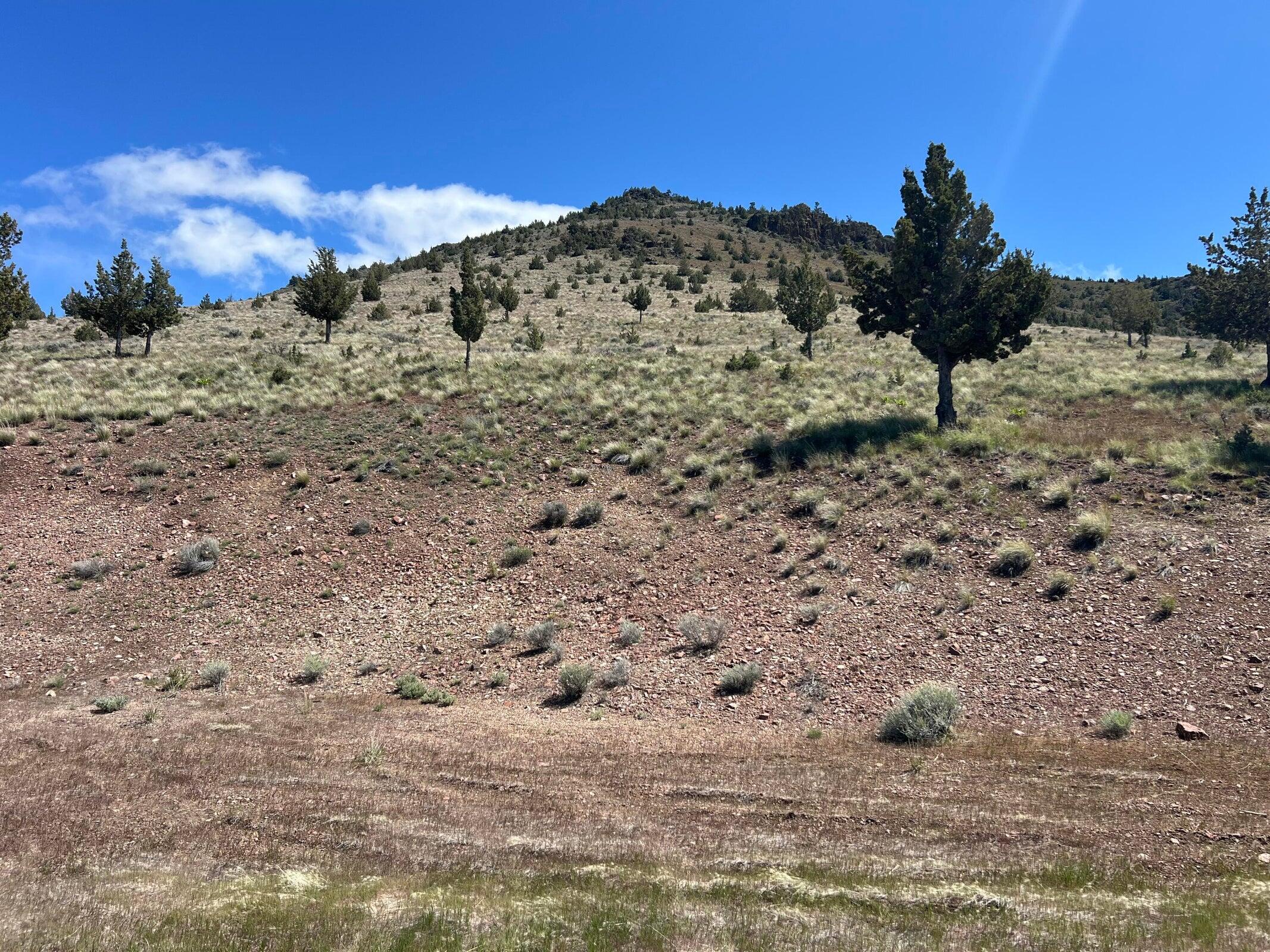 Juniper Butte - Land