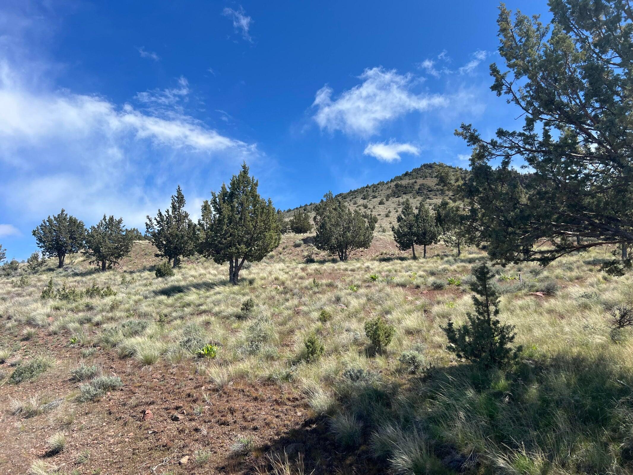 Juniper Butte - Land