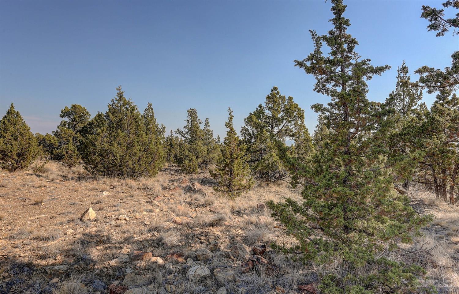 Sinclair Davis - Land