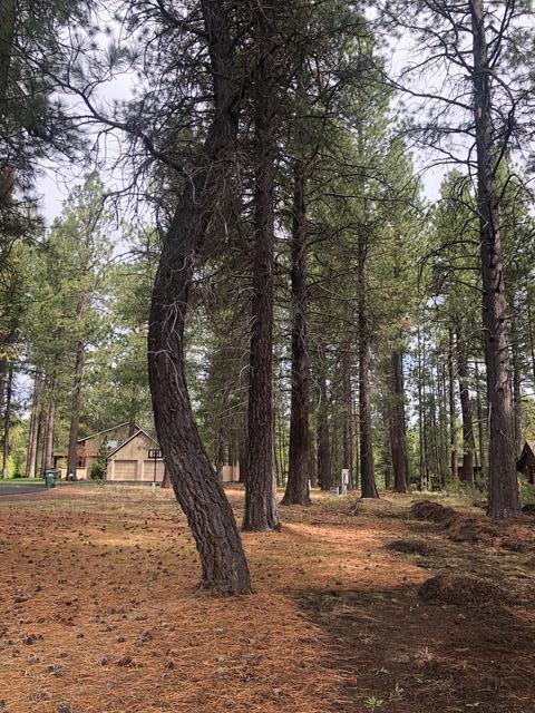 Spring River Acres - Land