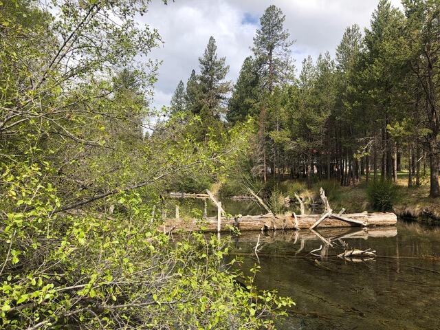 Spring River Acres - Land