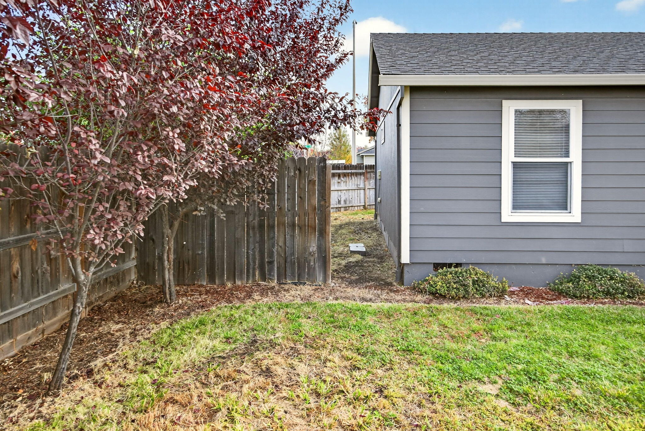 Mt Pitt Meadows - Residential