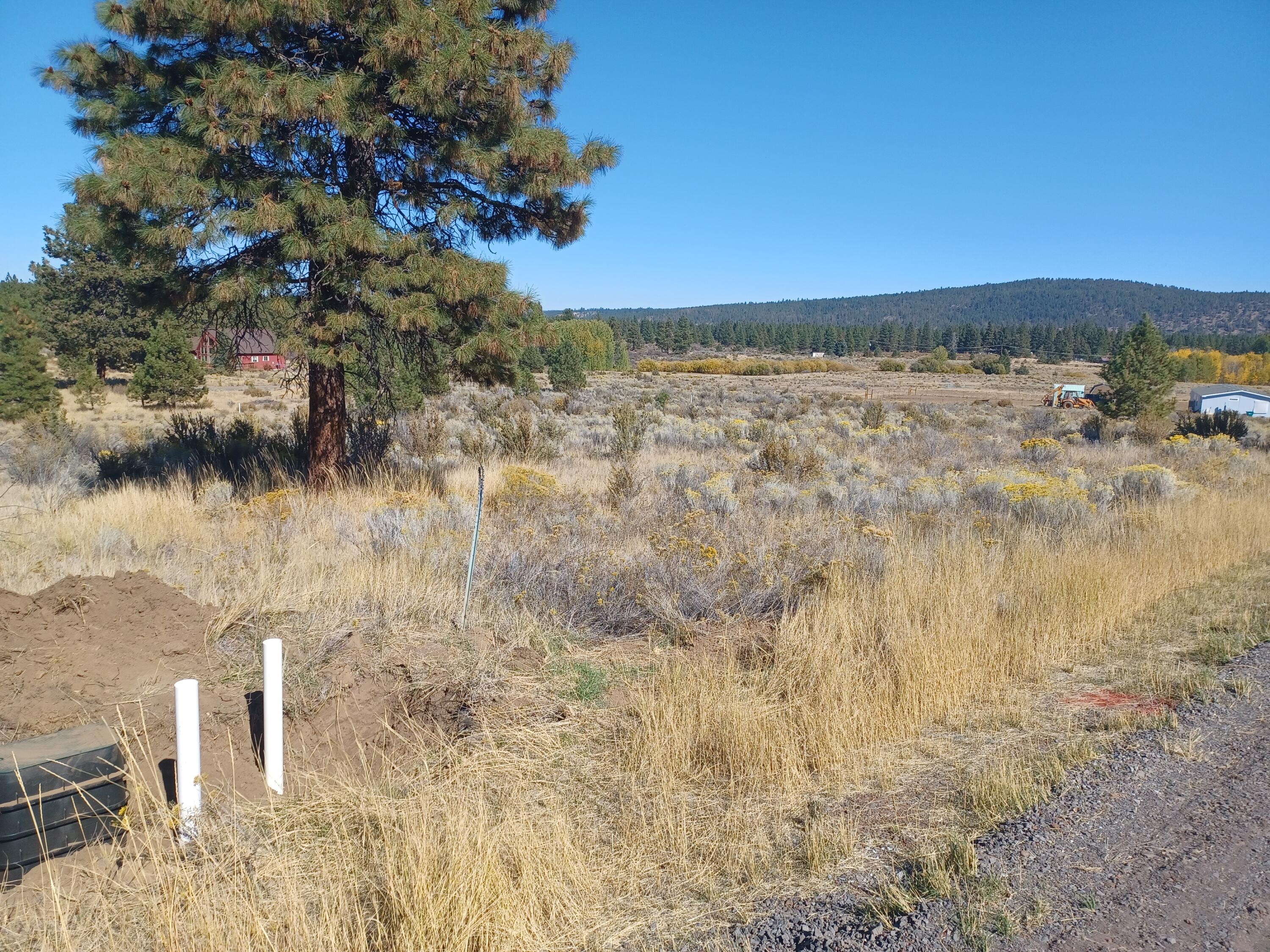 Oregon Shores - Land