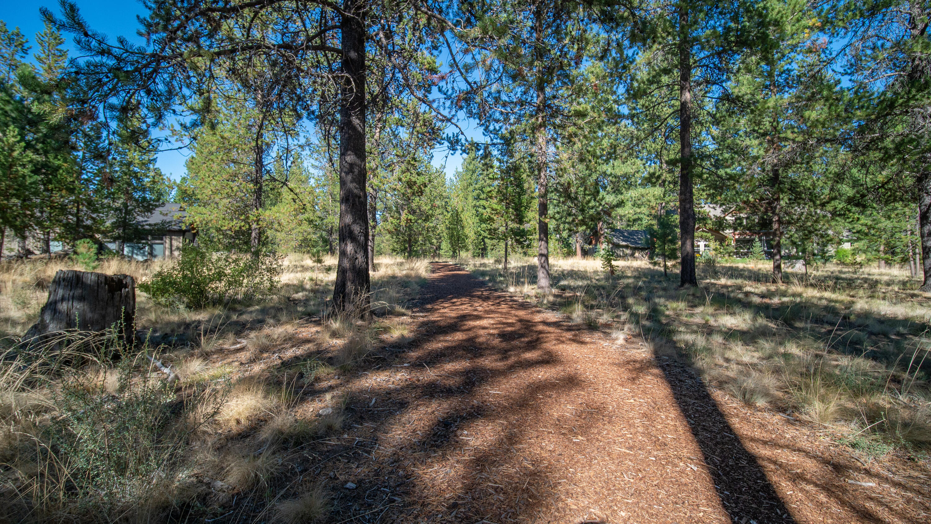 Caldera Springs - Residential